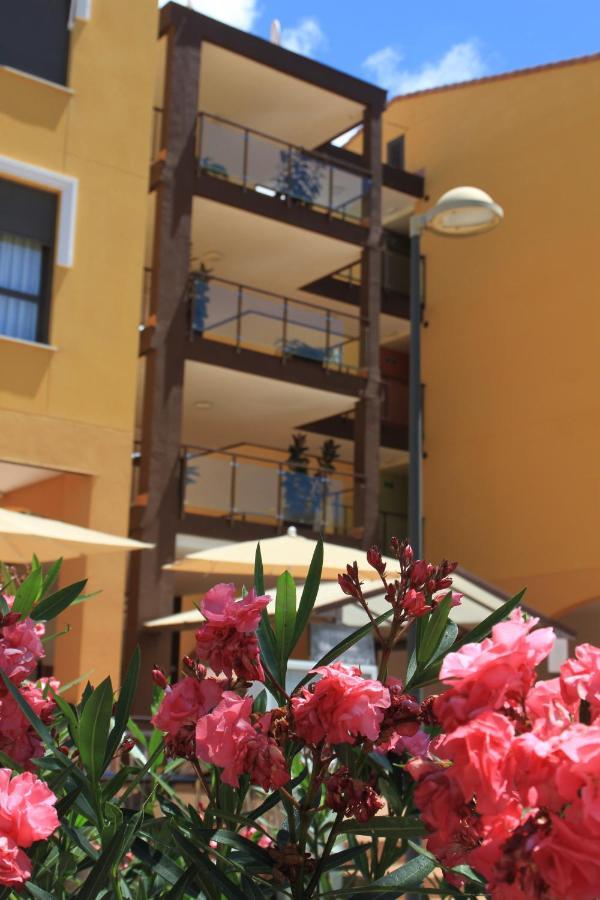 Spacious Apartment With Large Private Garden In Palm Mar Palm-mar Exterior foto