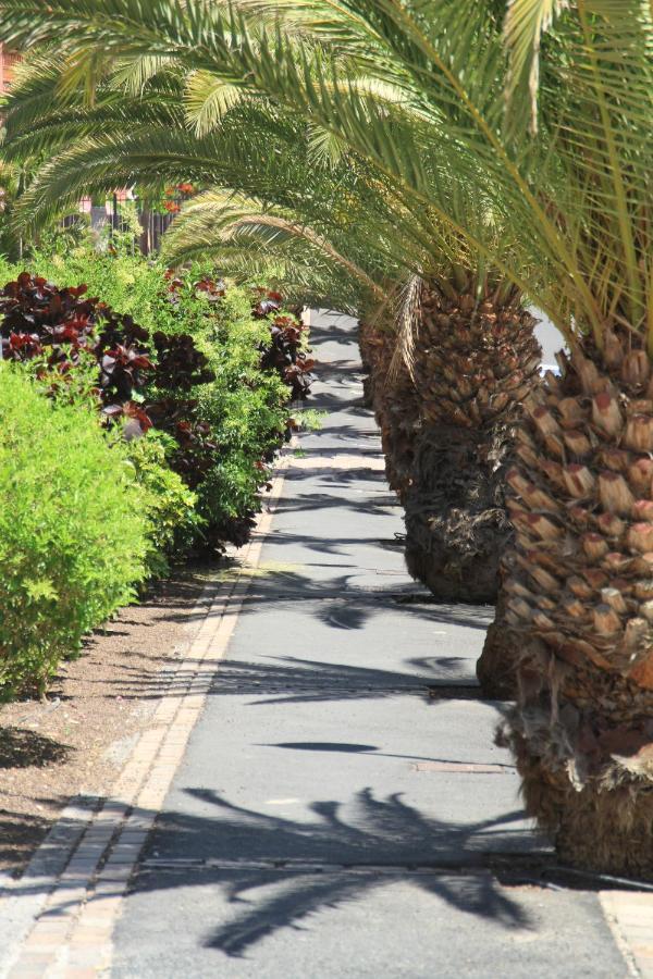Spacious Apartment With Large Private Garden In Palm Mar Palm-mar Exterior foto